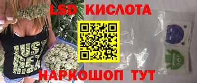 шишки Новокубанск